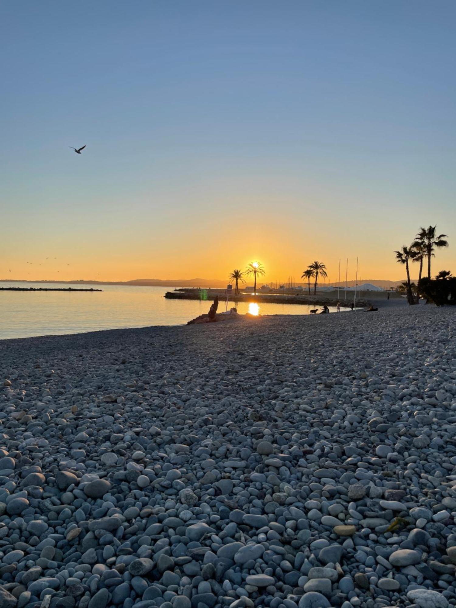 Regent Cote D'Azur Air-Conditioned, Pool, Garden & Parking Villeneuve-Loubet Luaran gambar